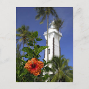 Postal Pacífico Sur, Polinesia Francesa, Tahití.Hibiscus