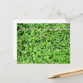 Postal Packed with greenery