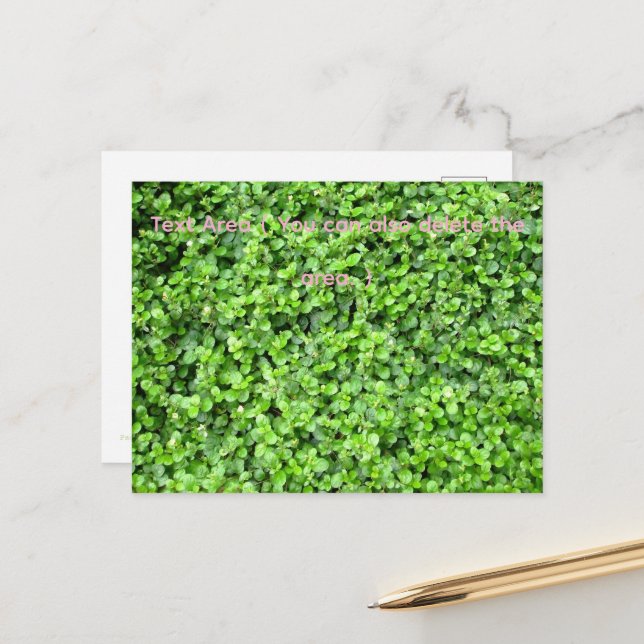 Postal Packed with greenery (Anverso/Reverso In Situ)