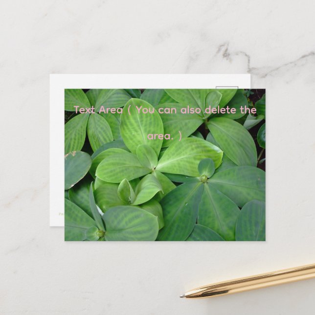 Postal Packed with greenery (Anverso/Reverso In Situ)