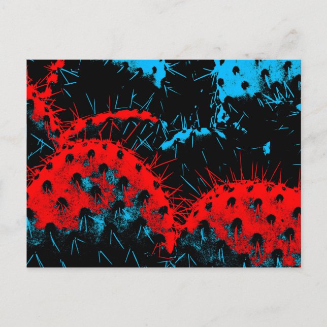 Postal "Paddle travieso" (Anverso)