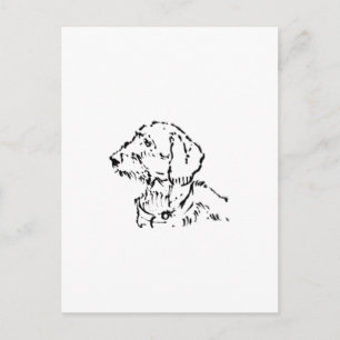 Postal Padre o Madre de Perro Dachshund de Pelo Duro