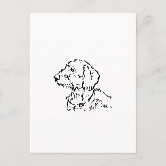 Postal Padre o Madre de Perro Dachshund de Pelo Duro (Anverso)