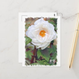 Postal Paeonia ‘Renkaku’ Postcard] ポ ス カ ド