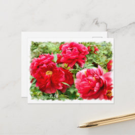 Postal Paeonia ‘Tarjeta Postal] ポ ス カ ド