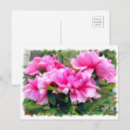 Postal Paeonia ‘Yachiyo-Tsubcard] ポ ス カ ド