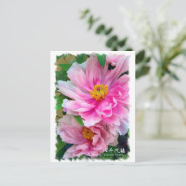 Postal Paeonia ‘Yachiyo-Tsubcard] ポ ス カ ド