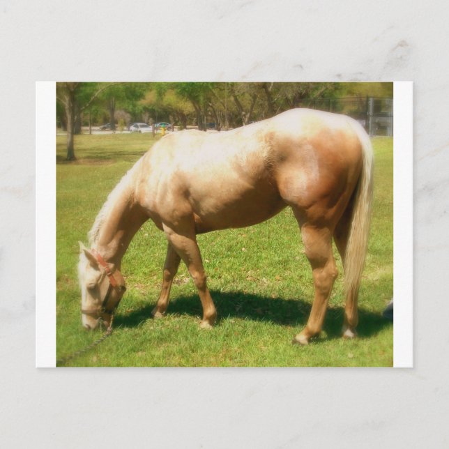 Postal Paint (Anverso)