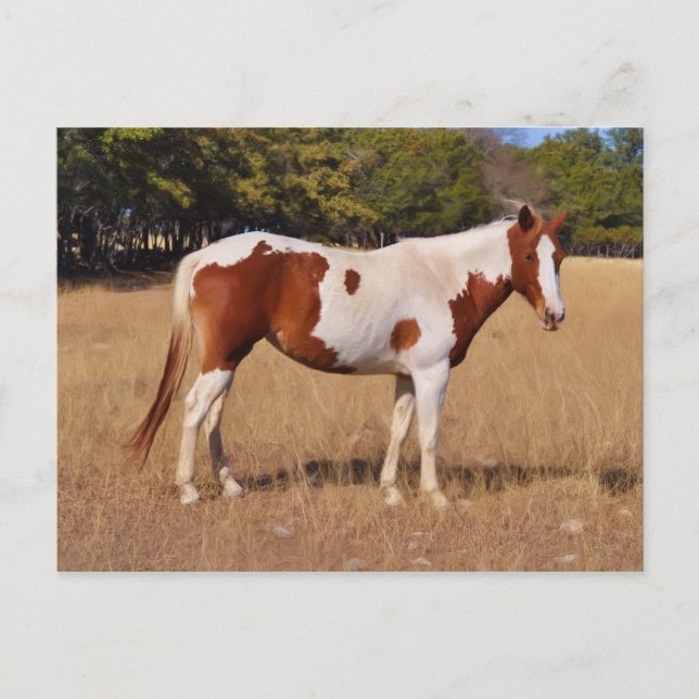 Postal Paint (Anverso)