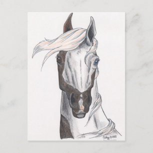 Postal Paint de mitad calvo