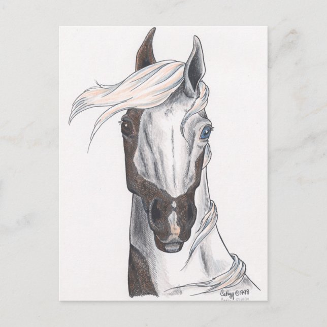 Postal Paint de mitad calvo (Anverso)