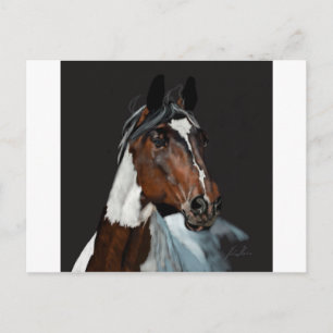 Postal Paint Horse