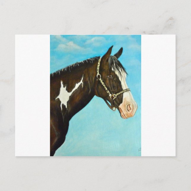 Postal Paint Horse (Anverso)
