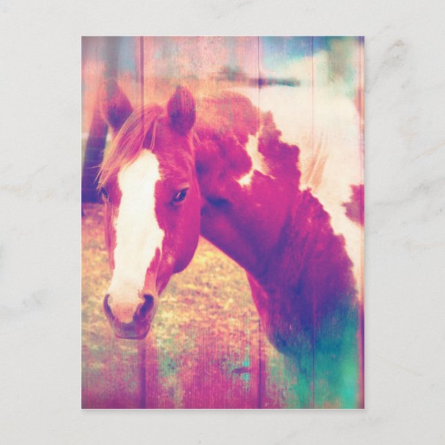 Postal Paint Horse Grunge (Anverso)
