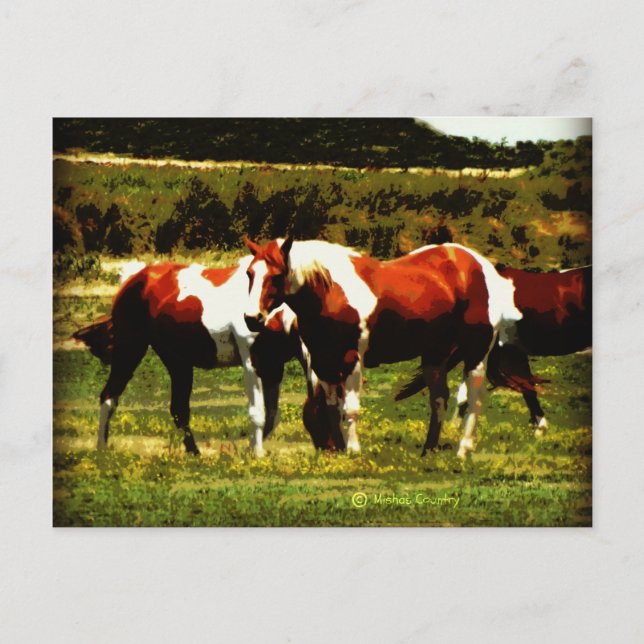 Postal Paint Horses (Anverso)