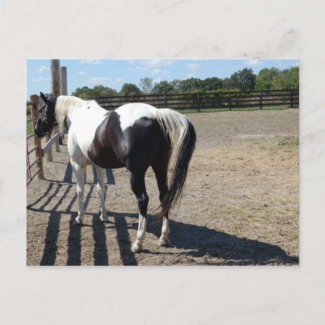 Postal Paint/Pinto Horario (Anverso)