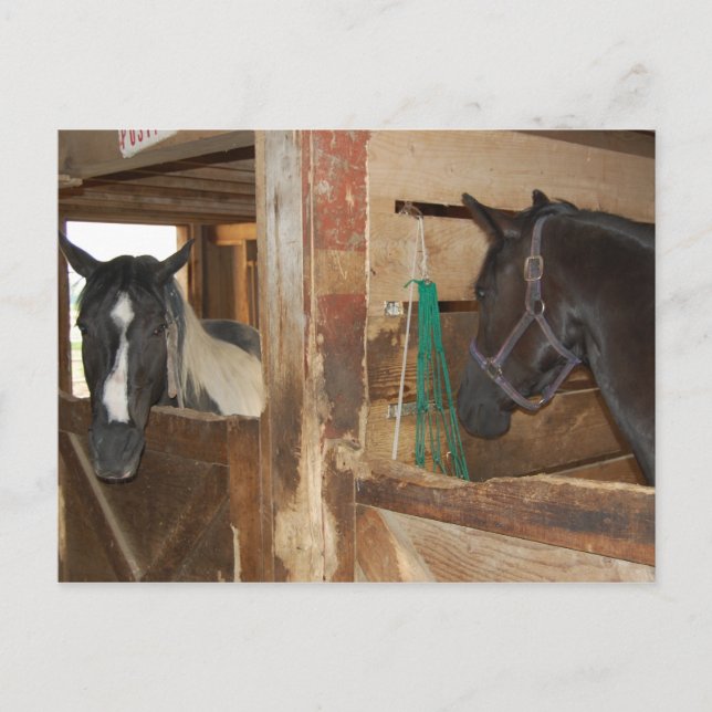 Postal Paint/Pinto Horario (Anverso)
