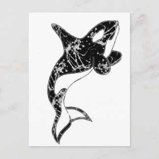 Postal Paint Splatter Orca Art