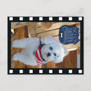 Postal País de Bichon con marco negativo