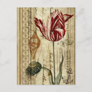 Postal país francés guiones tulipán de primavera botánica