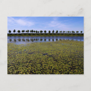 Postal Paisaje