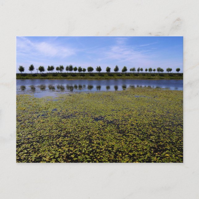 Postal Paisaje (Anverso)