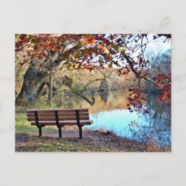 Postal Paisaje acuático con Bench Photo