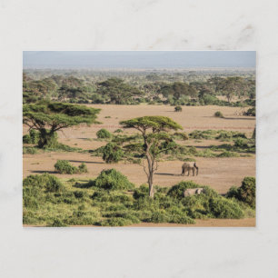 Postal Paisaje africano con elefante
