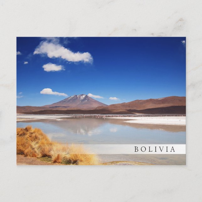 Postal Paisaje altiplano con volcán en Bolivia (Anverso)