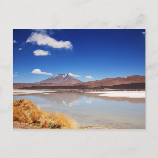 Postal Paisaje altiplano con volcán en Bolivia (Anverso)