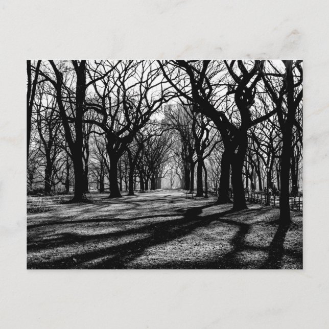 Postal Paisaje blanco y negro en Central Park (Anverso)