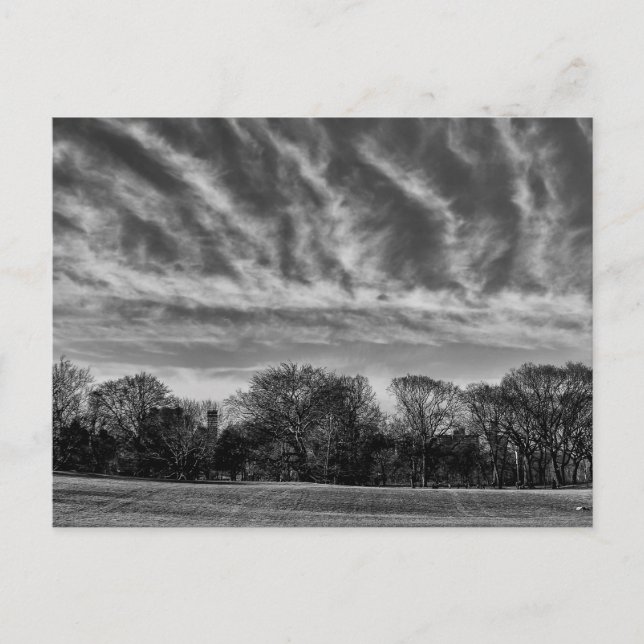 Postal Paisaje blanco y negro Foto de Central Park (Anverso)