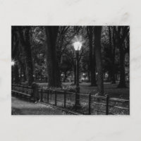 Paisaje blanco y negro Foto de Central Park