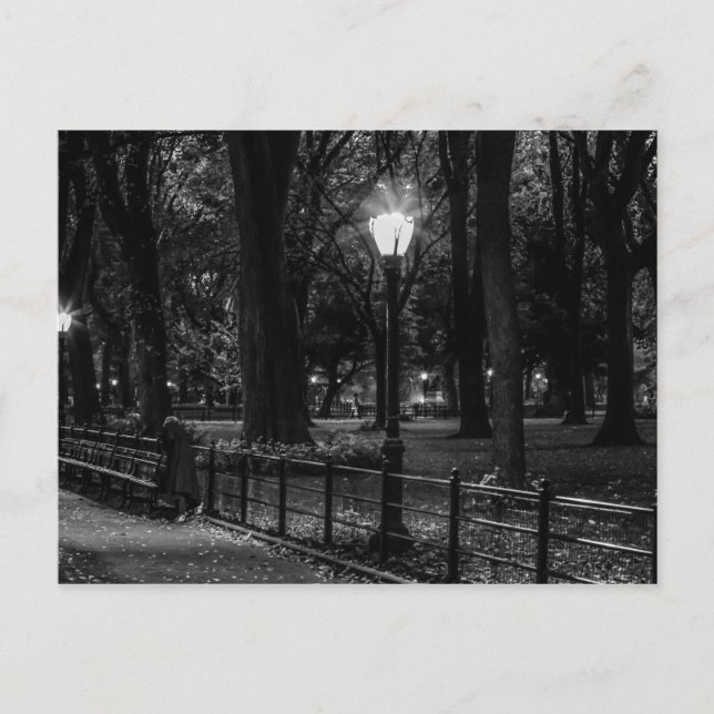 Postal Paisaje blanco y negro Foto de Central Park (Anverso)