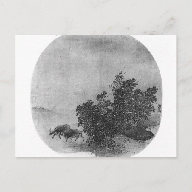 Postal Paisaje con búfalo de agua, Dinastía de Canción (Anverso)