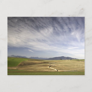 Postal Paisaje con campos de trigo, Grabouw, Occidente
