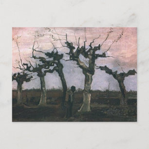 Postal Paisaje con Pollard Willows