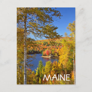 Postal Paisaje de árboles de otoño, Maine