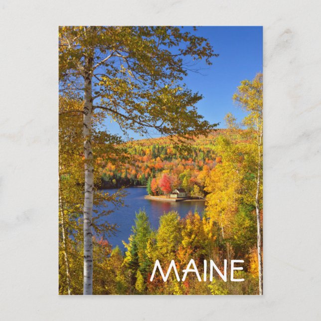 Postal Paisaje de árboles de otoño, Maine (Anverso)