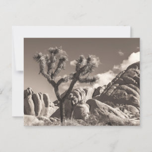 Postal Paisaje de árboles Sepia Joshua con rocas