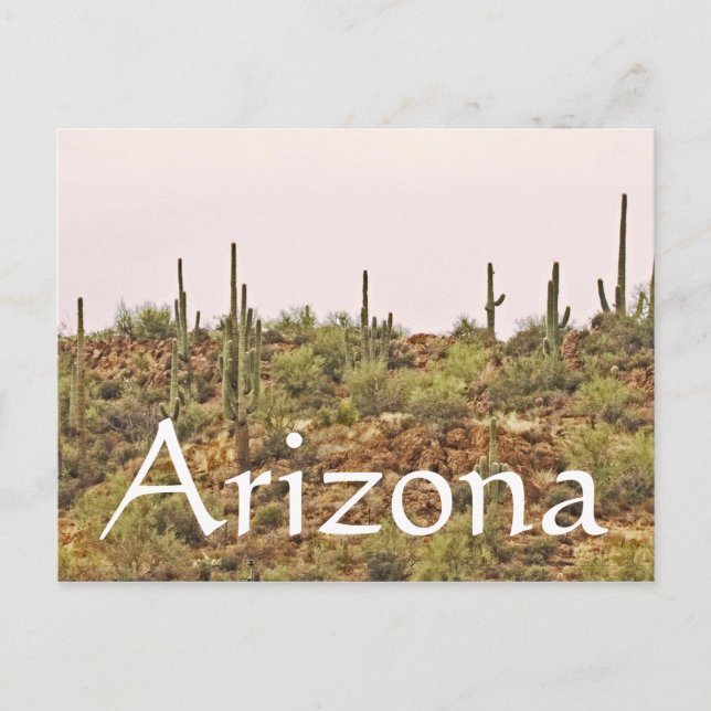 Postal Paisaje de Arizona Cactus (Anverso)
