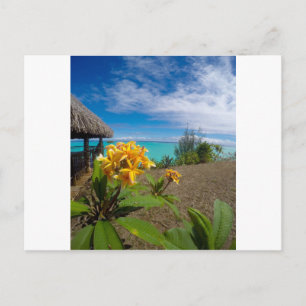 Postal Paisaje de bora bora