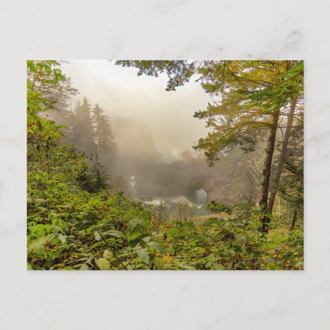 Postal Paisaje de bosque y océano (Anverso)