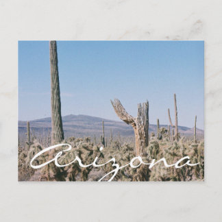 Postal Paisaje de Cacti del desierto de Arizona