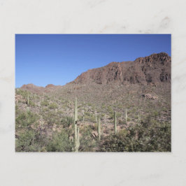 Postal Paisaje de Cactus