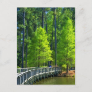Postal Paisaje de Callaway