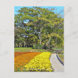 Postal Paisaje de Chinaberry y de la flor de Marigold