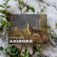 Paisaje de coyote de Arizona Cactus Desierto