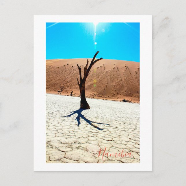Postal Paisaje de dunas de arena de Namibia Sossusvlei (Anverso)