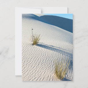 Postal Paisaje de dunas del desierto de las Arenas Blanca